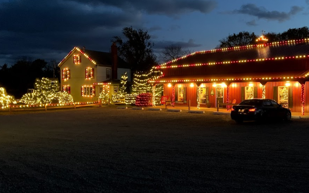 10 Creative Christmas Lighting Ideas to Make Your Home Stand Out