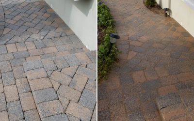 Experience Unbeatable Power Washing Services in Lexington, SC with Elevation Power Washing