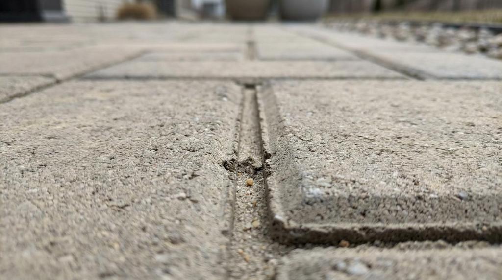 paver cleaning service