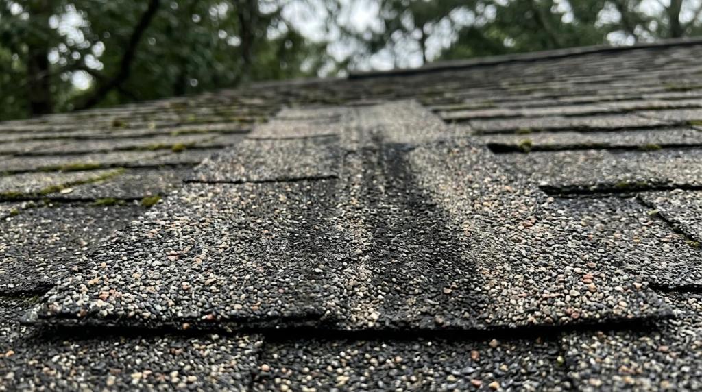 roof soft washing