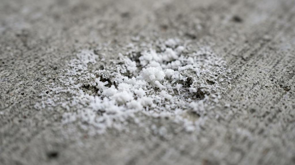 Concrete Cleaning Service: 6 Stains Pros Remove Best